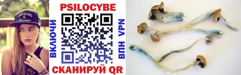 Галлюциногенные грибы прущие грибы  Вуктыл 